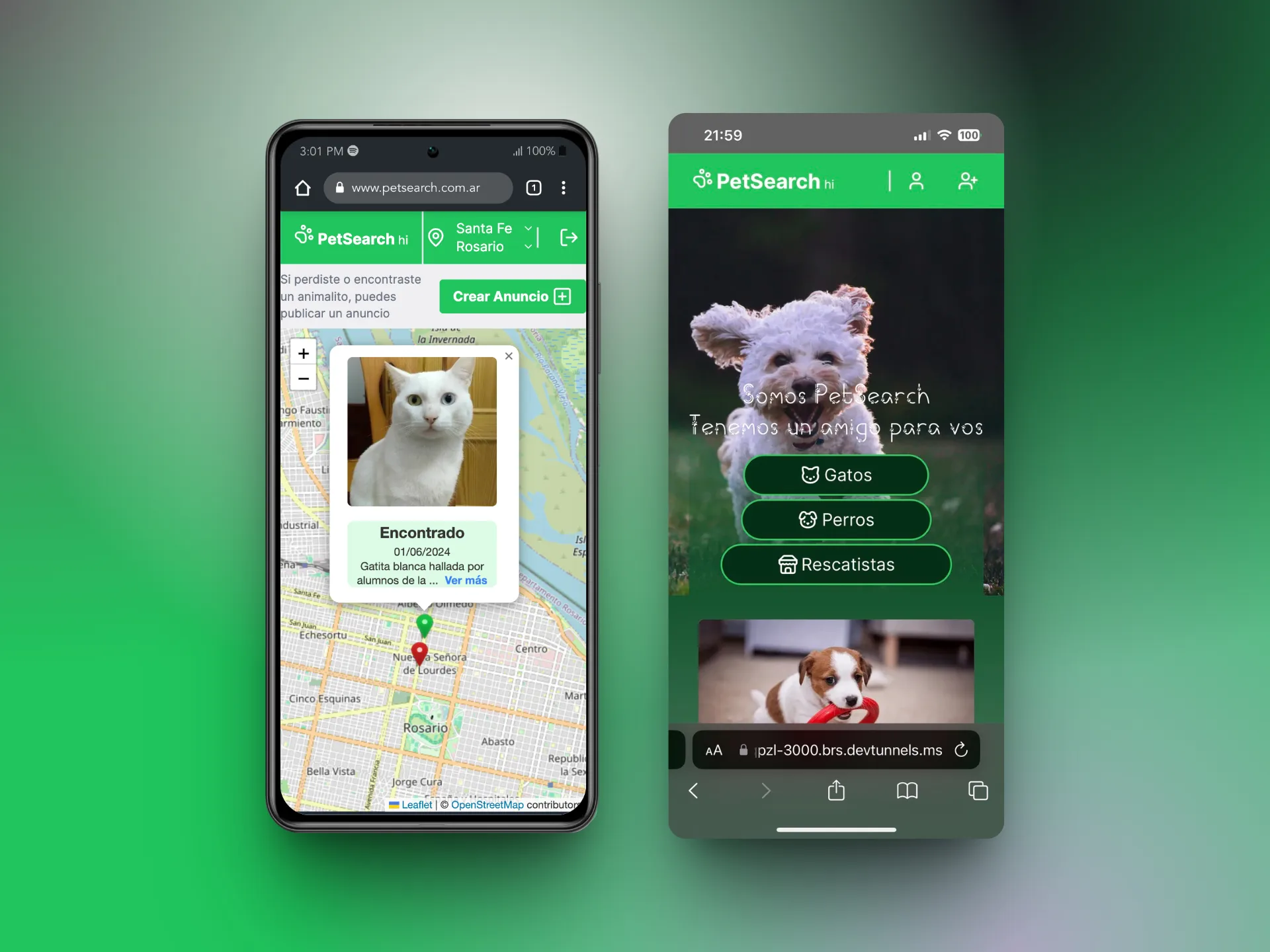 PetSearch – Adoption Platform for Pets - Overview
